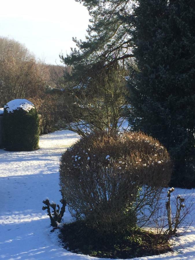La Ferme Des Ruelles Bed & Breakfast Moigny Bagian luar foto